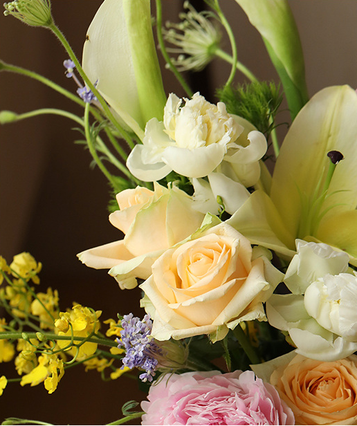 flowerplus花加探寻鲜花市场崛起的秘密__凤凰网