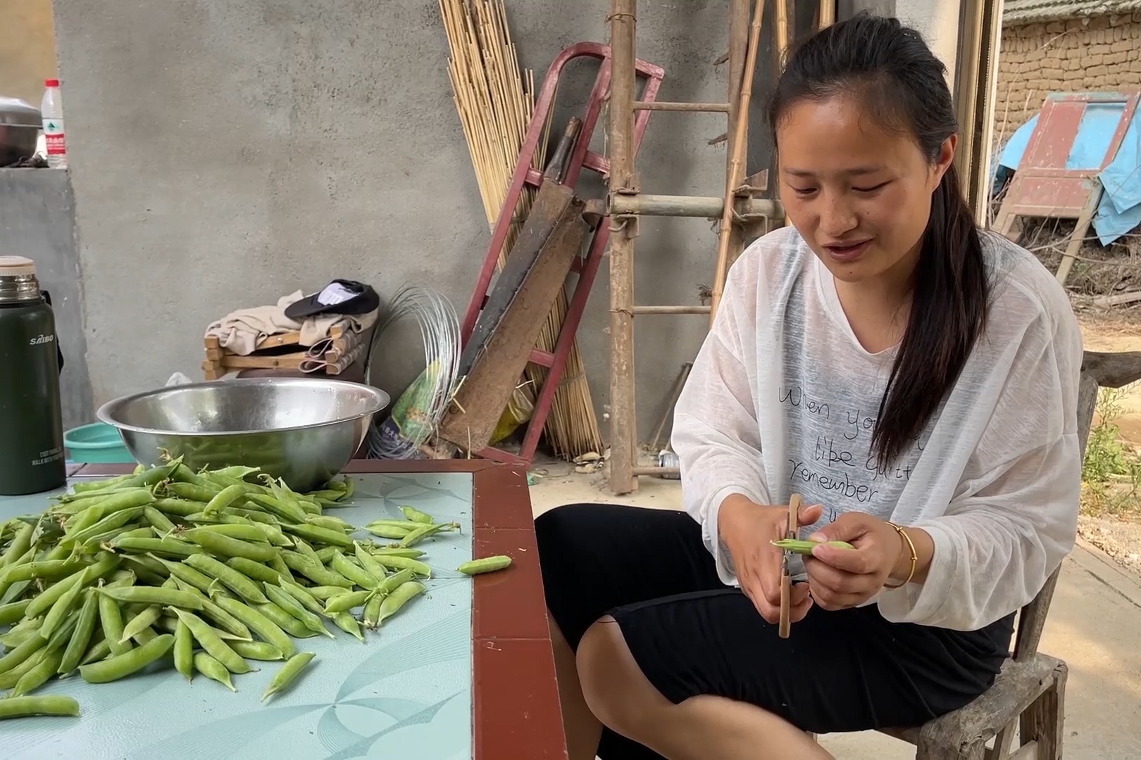 地里的豌豆熟了，媳妇摘点回家煮一锅五香豌豆，真是太好吃了