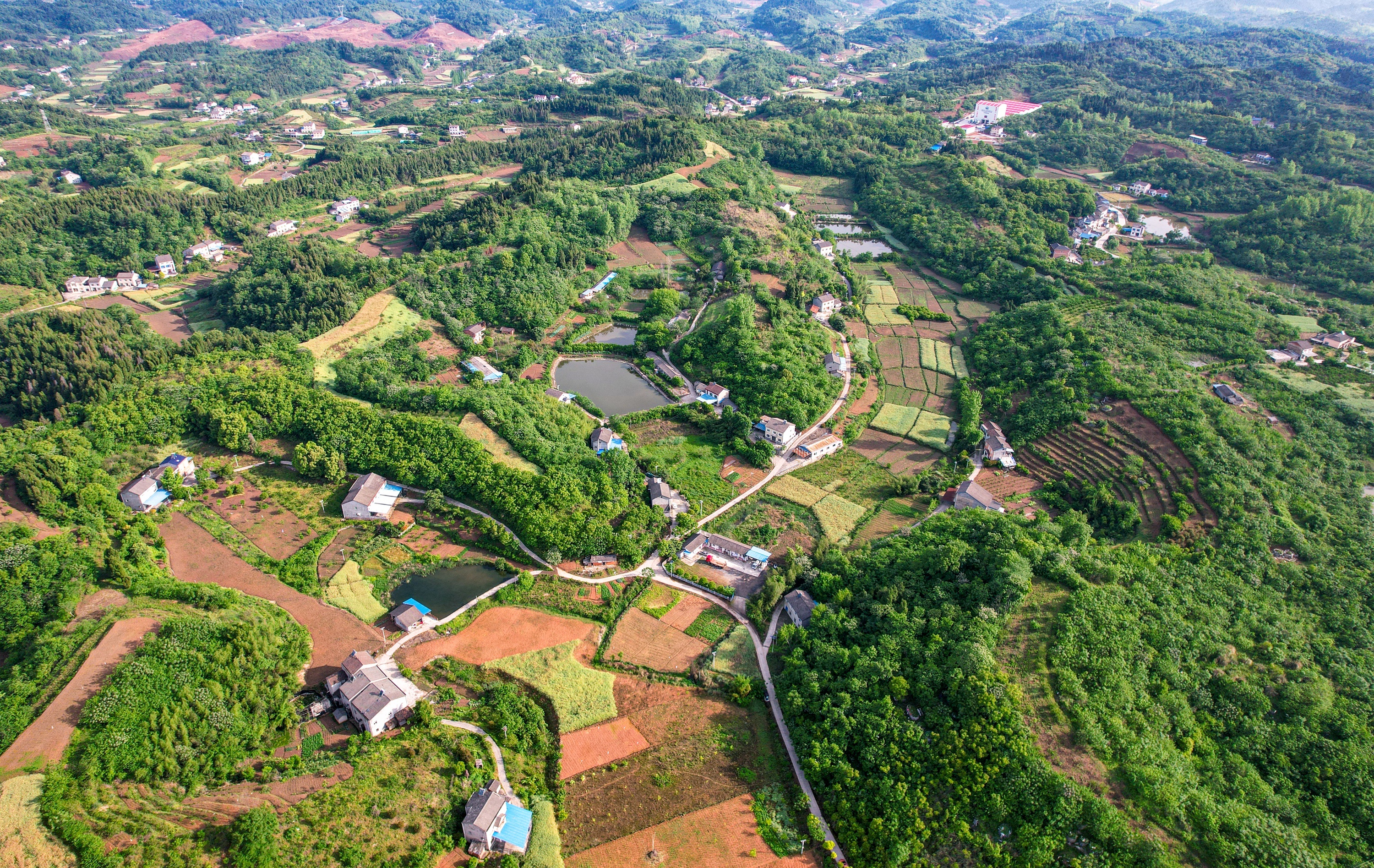 湖北宜昌:龙泉古镇到底有多绿,航拍拟如诗画园林__凤凰网