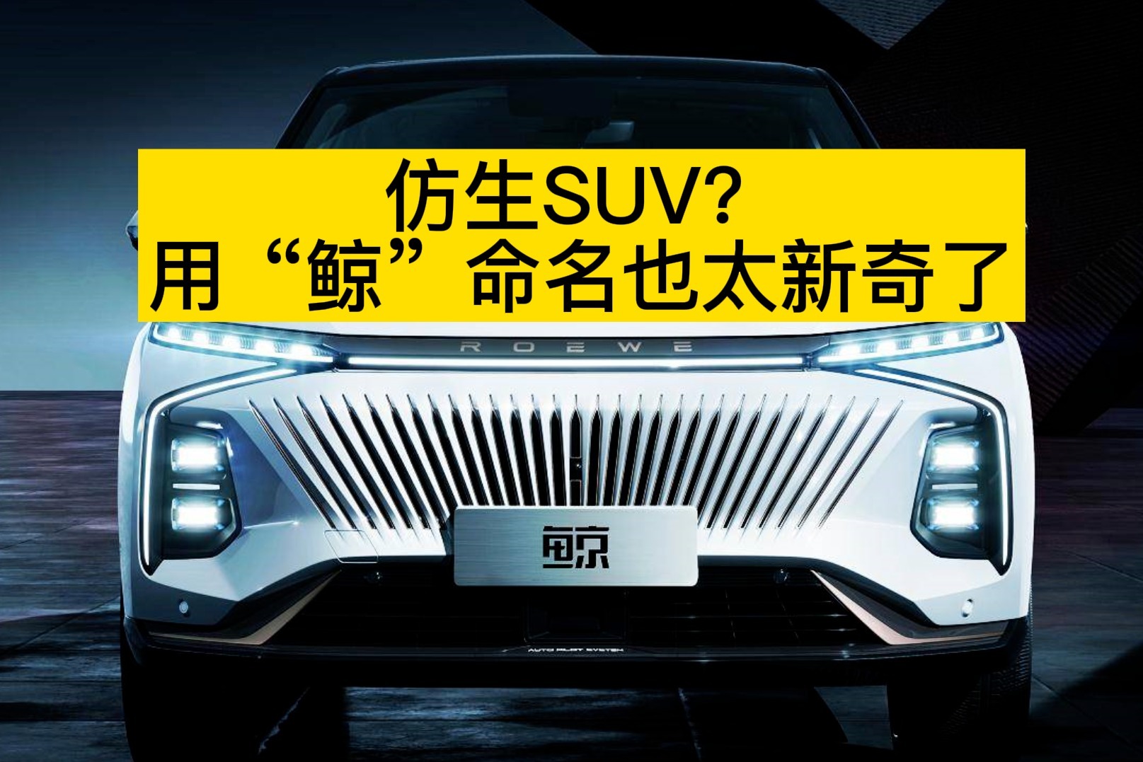 仿生SUV？用“鲸”命名也太新奇了