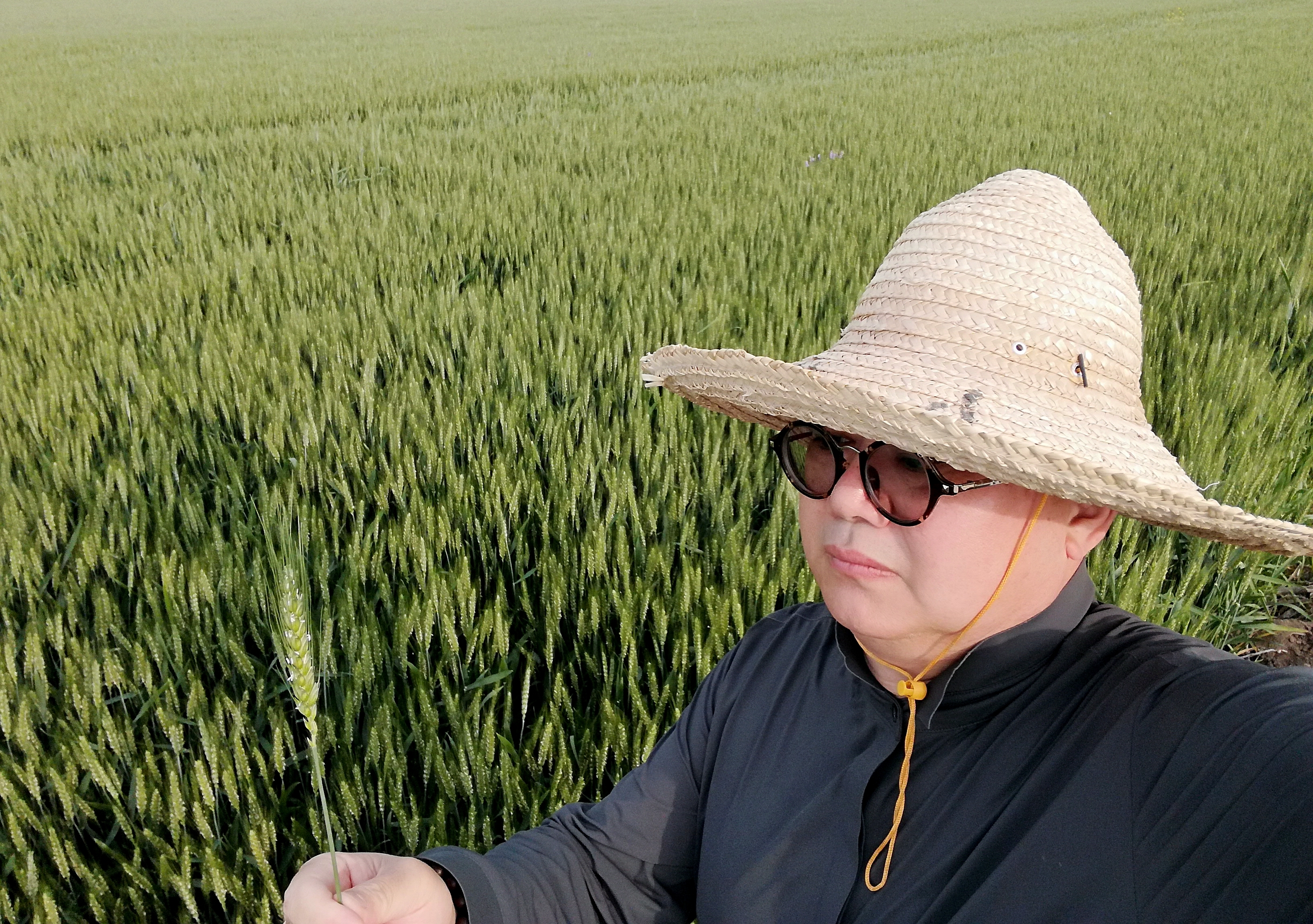 怀远县双桥集镇积极组织小麦种植户开展赤霉病预防__凤凰网