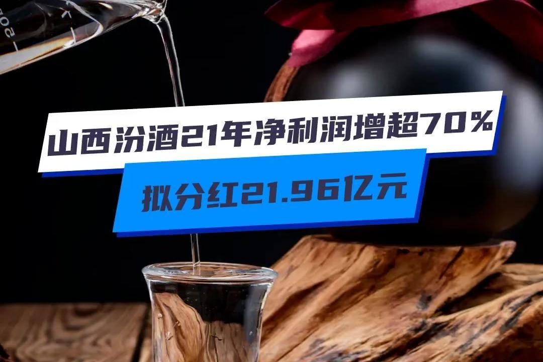 山西汾酒2021年净利润增超70%，拟分红21.96亿元