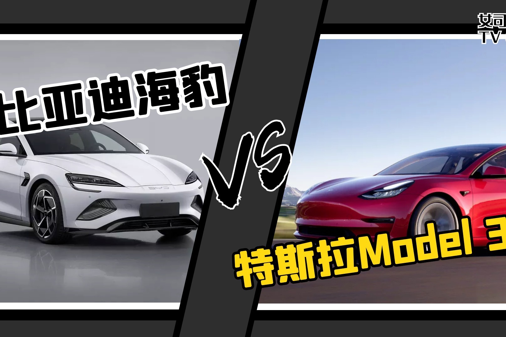 女司机导购｜纯电动智能轿车，比亚迪海豹和特斯拉Model3怎么选？