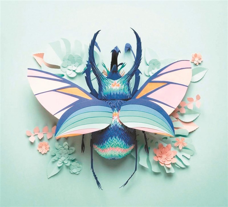 鲜艳纸雕 捕捉虫鸟飞翔神韵__凤凰网