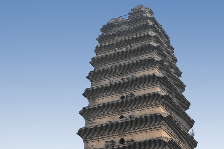 阳春三月，西安小雁塔赏樱花，闹市中难得这么一处清净地！