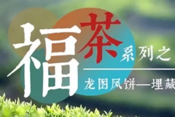 宋代顶级茶:贡茶中的“大咖”龙团凤饼