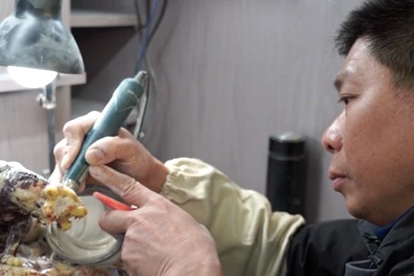 寿山石雕虎：因材施艺 因色取巧