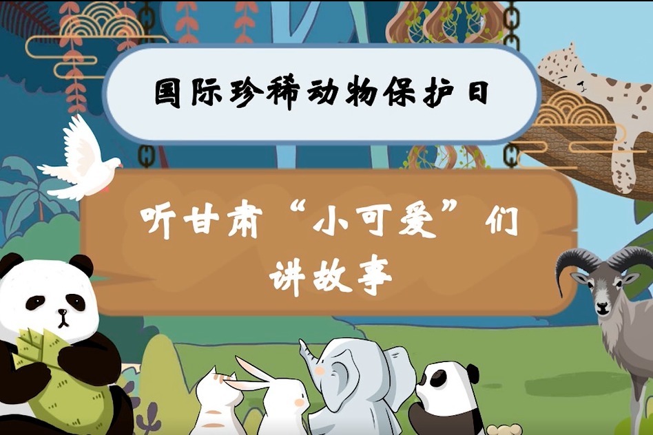 动画丨国际珍稀动物保护日 听甘肃"小可爱"们讲故事