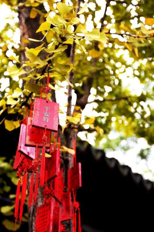 肝病科刘慧敏医生讲述乙型肝炎的临床表现和危害