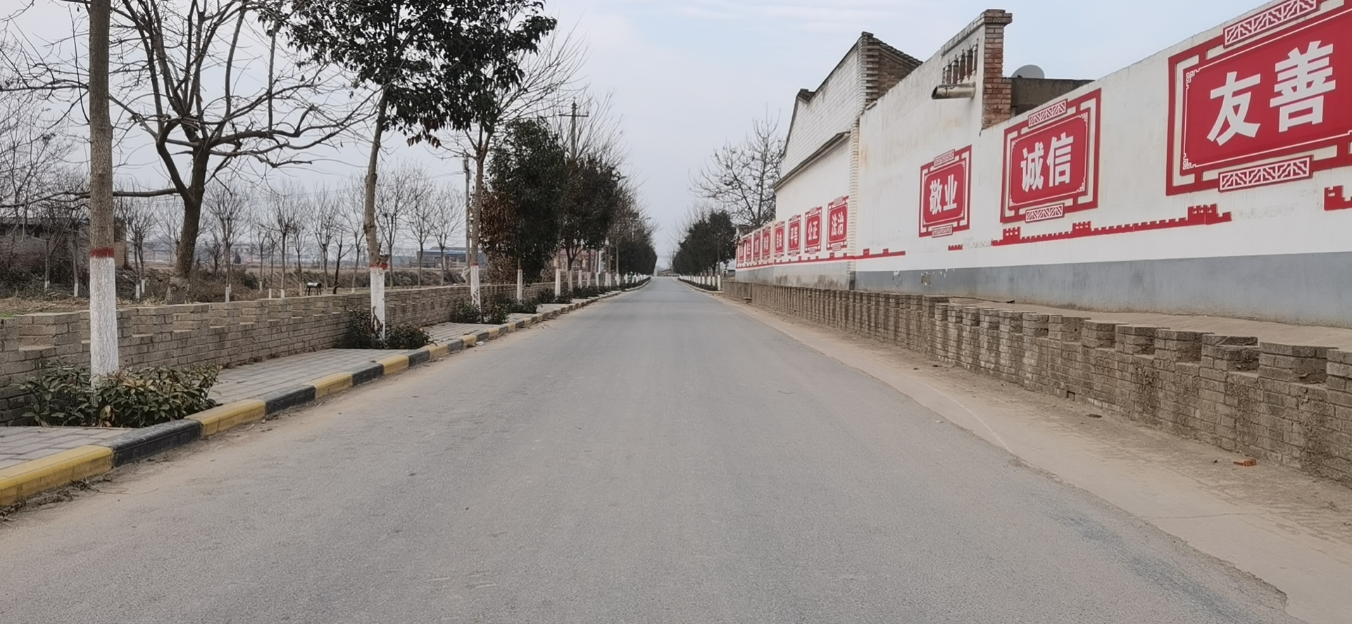 蒲城县荆姚镇:健全机制抓环卫 打造魅力新荆姚__凤凰网