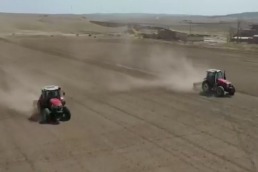 甘肃：盘活撂荒地 夯实粮食生产“根基”