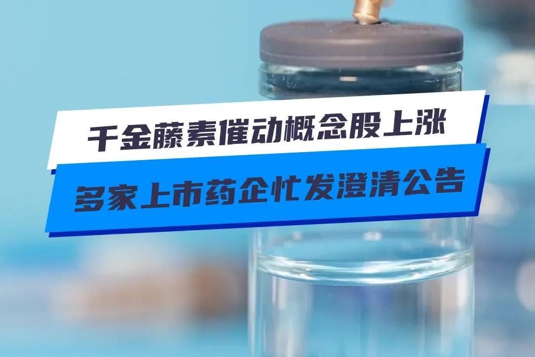 千金藤素催动概念股上涨，多家上市药企忙发澄清公告