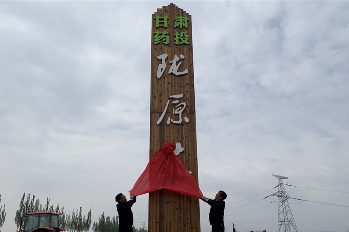 千亩荒地变药田 甘肃首个中药材艾草GAP基地揭牌