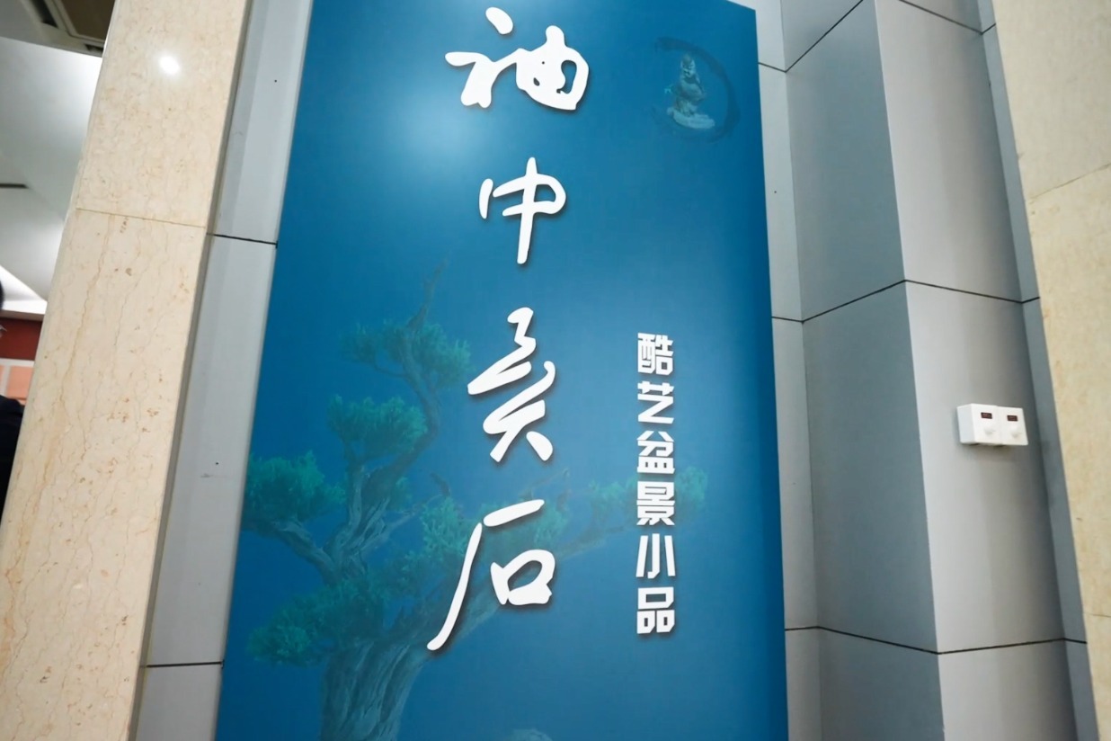 “袖中异石”盆景展在中国农业历史博物馆开幕