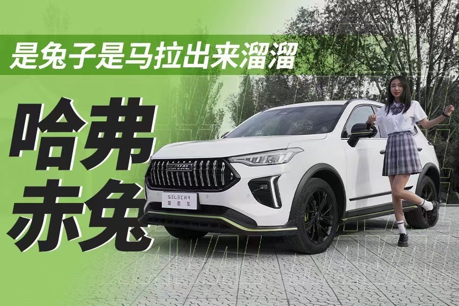 柠檬平台第四款车，1.5T184匹，哈弗赤兔是马不是兔