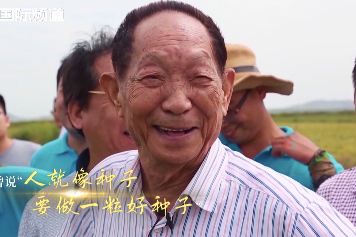 敬意永存学习袁隆平做一粒好种子