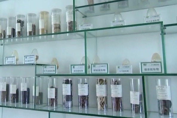 目标“中国药都” 定西中药材静态仓储达到百万吨