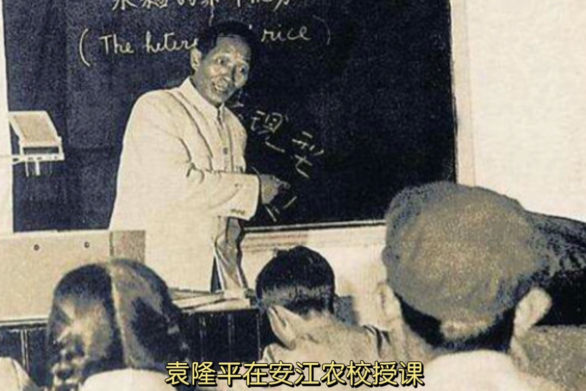 跟随袁隆平在安江农校的珍贵老照片,回望闪光的日子