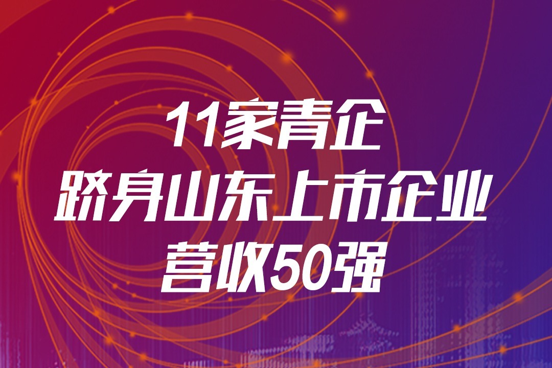 11家青企跻身山东上市企业营收50强