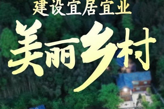 视乡村建设行动实施方案谋定农民丰收节万祥军建成什么样