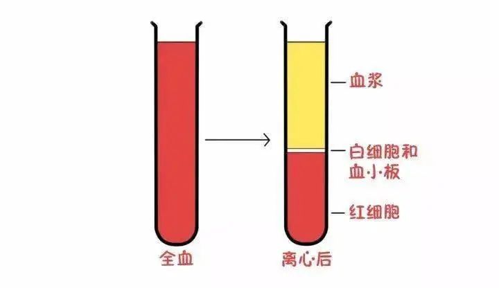 “医”目了然，一管血的检验科之旅 ！__凤凰网
