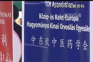 甘肃省中医院针灸副主任医师 于春梅