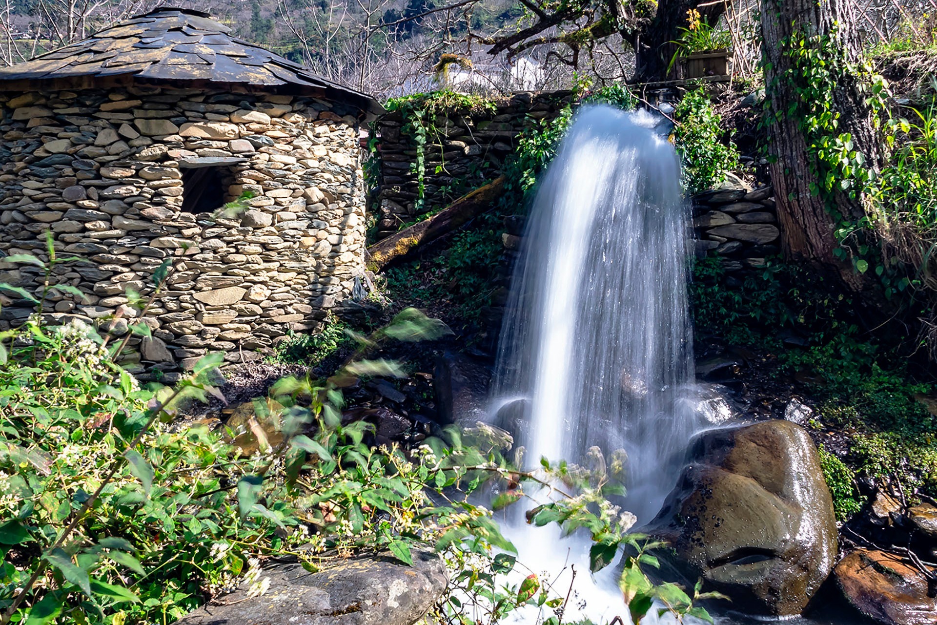 山外青山楼外楼云南临沧市凤庆县大寺乡德乐村姚青春1