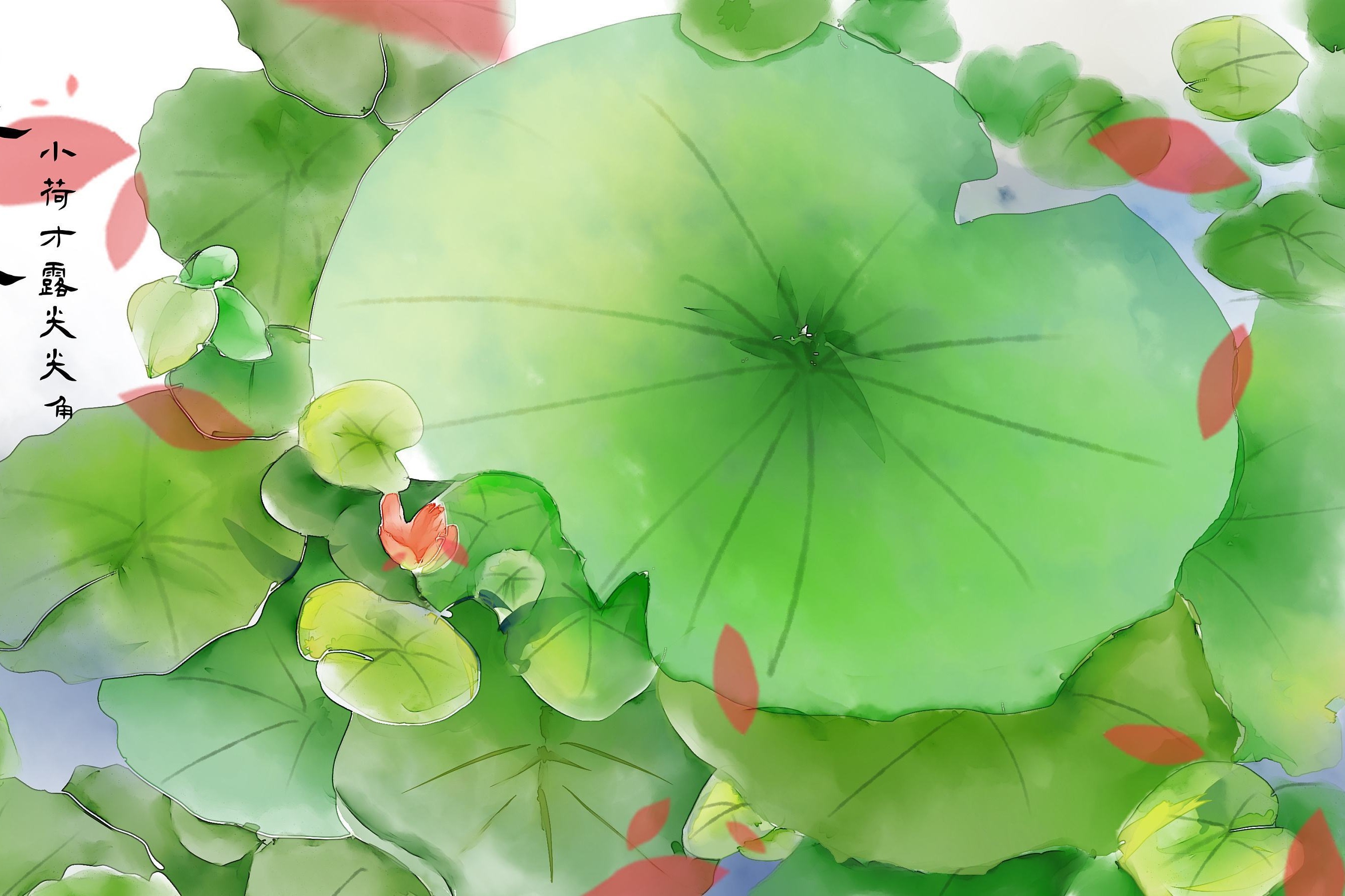 今天立夏我穿上了黑短袖