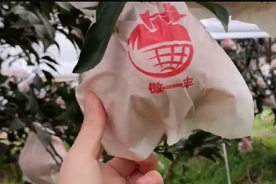 警惕！“甜蜜素”水果泛滥，将严重损害果业