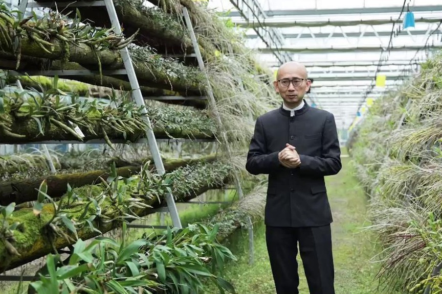 【走读温州】铁定溜溜 顺顺溜溜_凤凰网视频_凤凰网