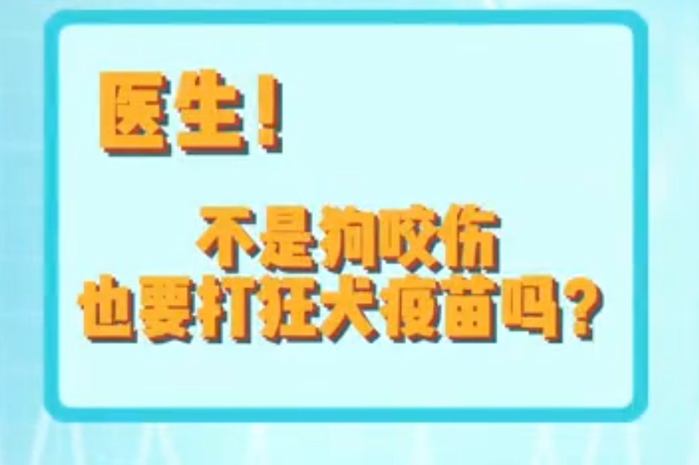 狗打狂犬疫苗有效期 (狗打狂犬疫苗有效期是多久)