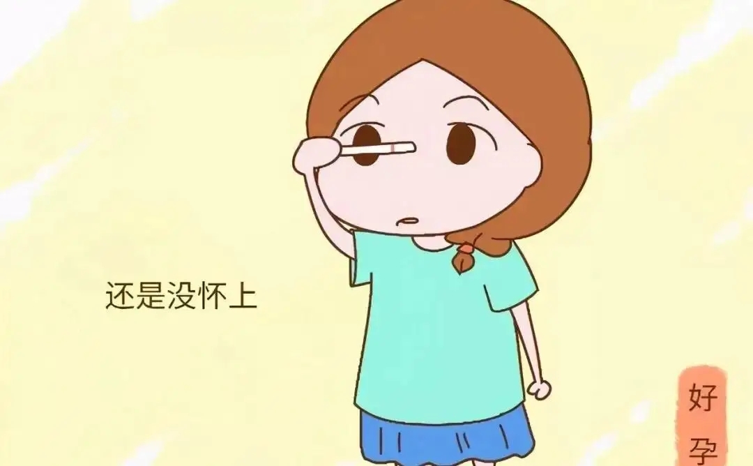 多少钱可以在成都借卵（压力大也会不孕？）