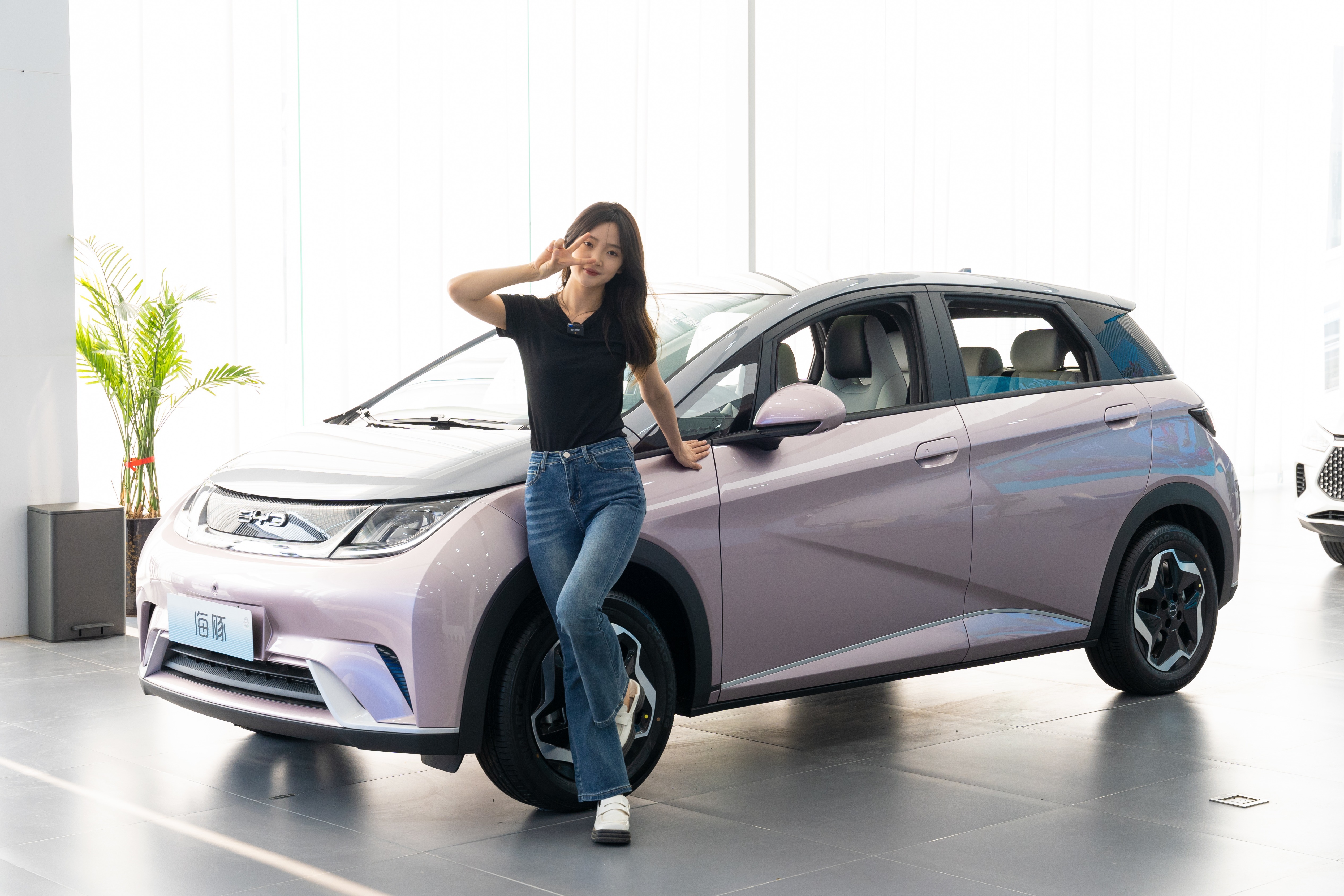 比亚迪给我们上了一课！10多万电动车，海豚居然这么强？