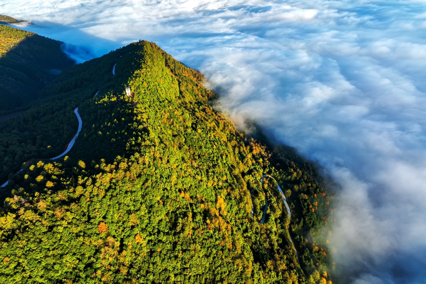 游武定正当时 我在武定等着您__凤凰网