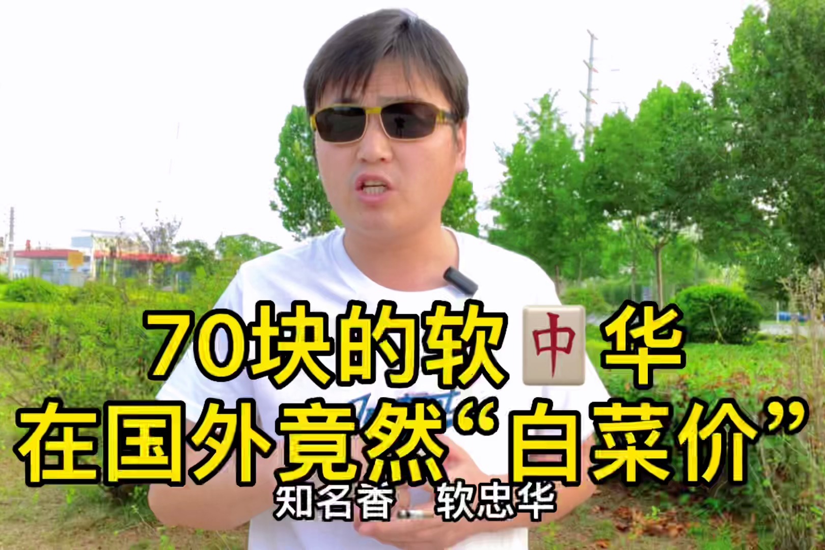 70块一包的软中华，在国外竟然是白菜价！软中华在国外卖多少钱？