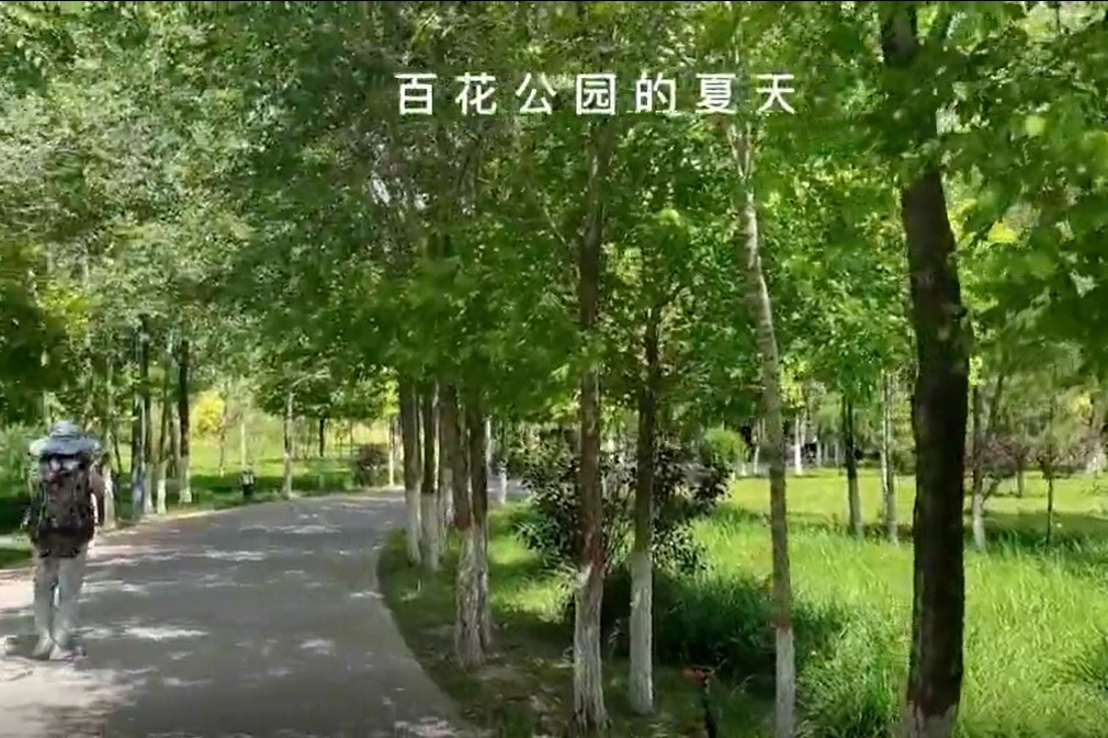 百花公园的夏天