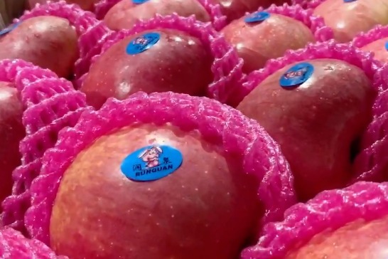 奋进新征程 建功新时代｜探访白水苹果全产业链典型县建设工作