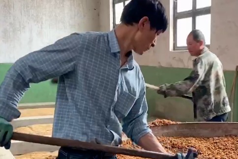 奋进新征程 建功新时代｜走进陕西白水杜康酒厂