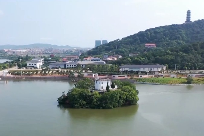 实时捕捉鄱阳湖畔的精彩瞬间