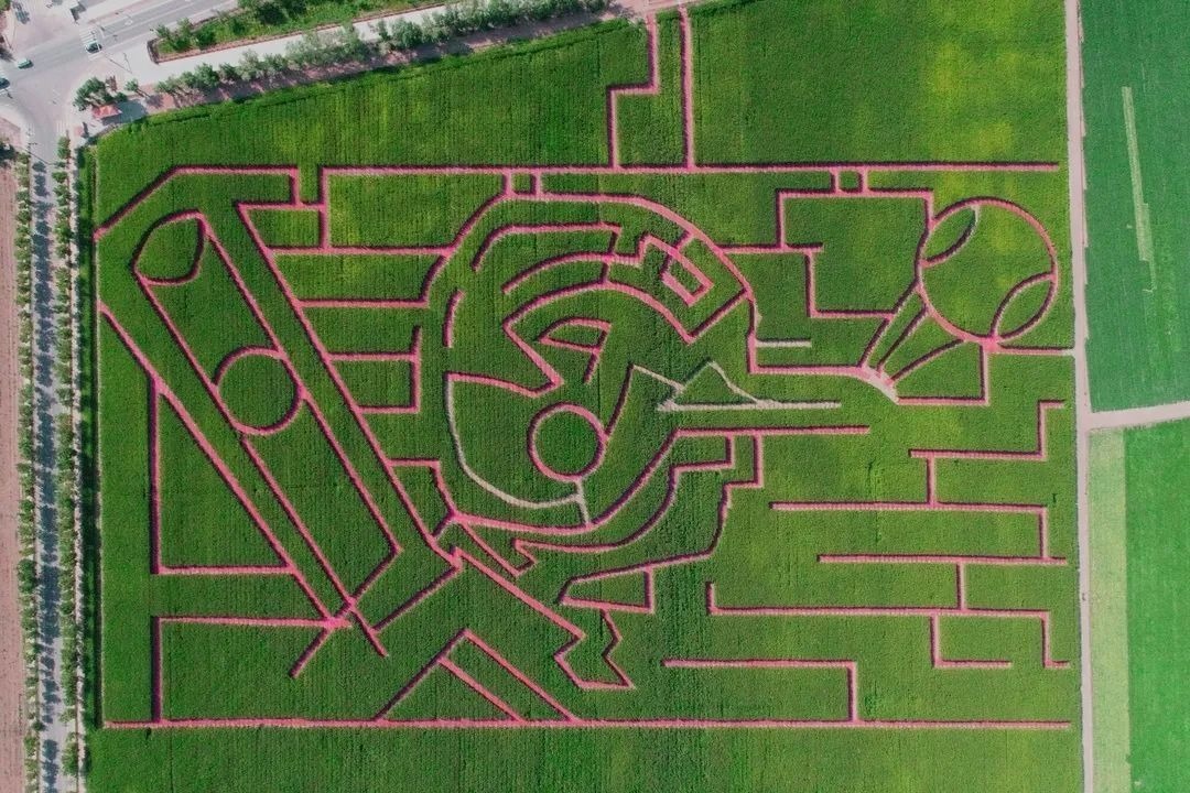 玉米迷宫的设计方案图片