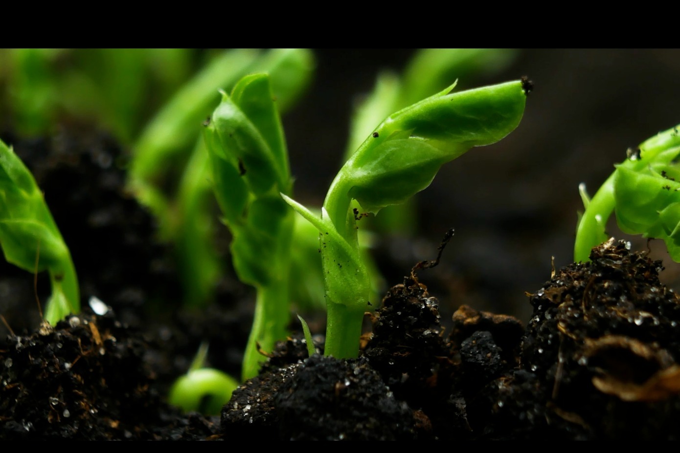 美好生活|奋进新征程 保险守护稳稳的幸福