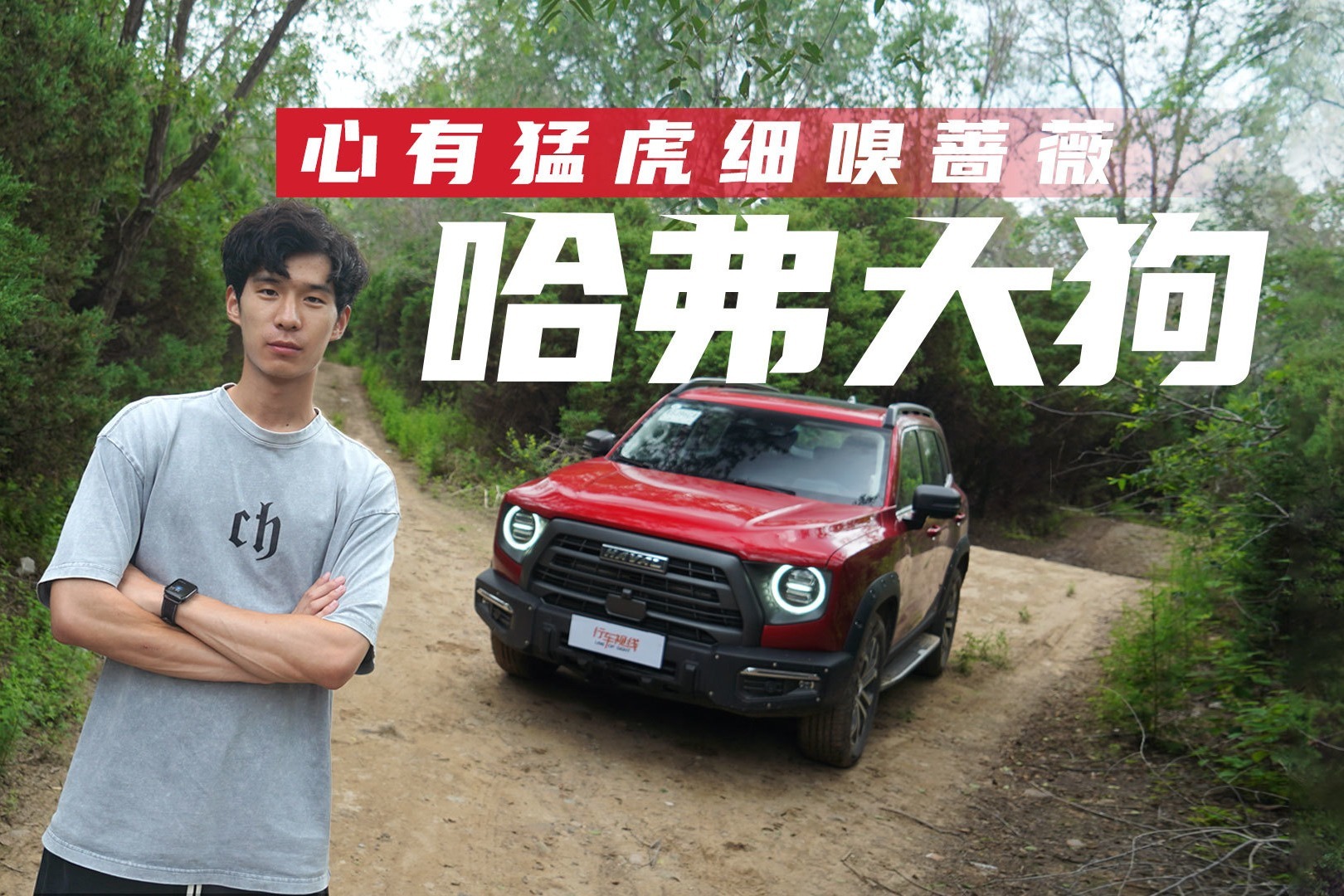 心有猛虎细嗅蔷薇 试驾哈弗大狗追猎版