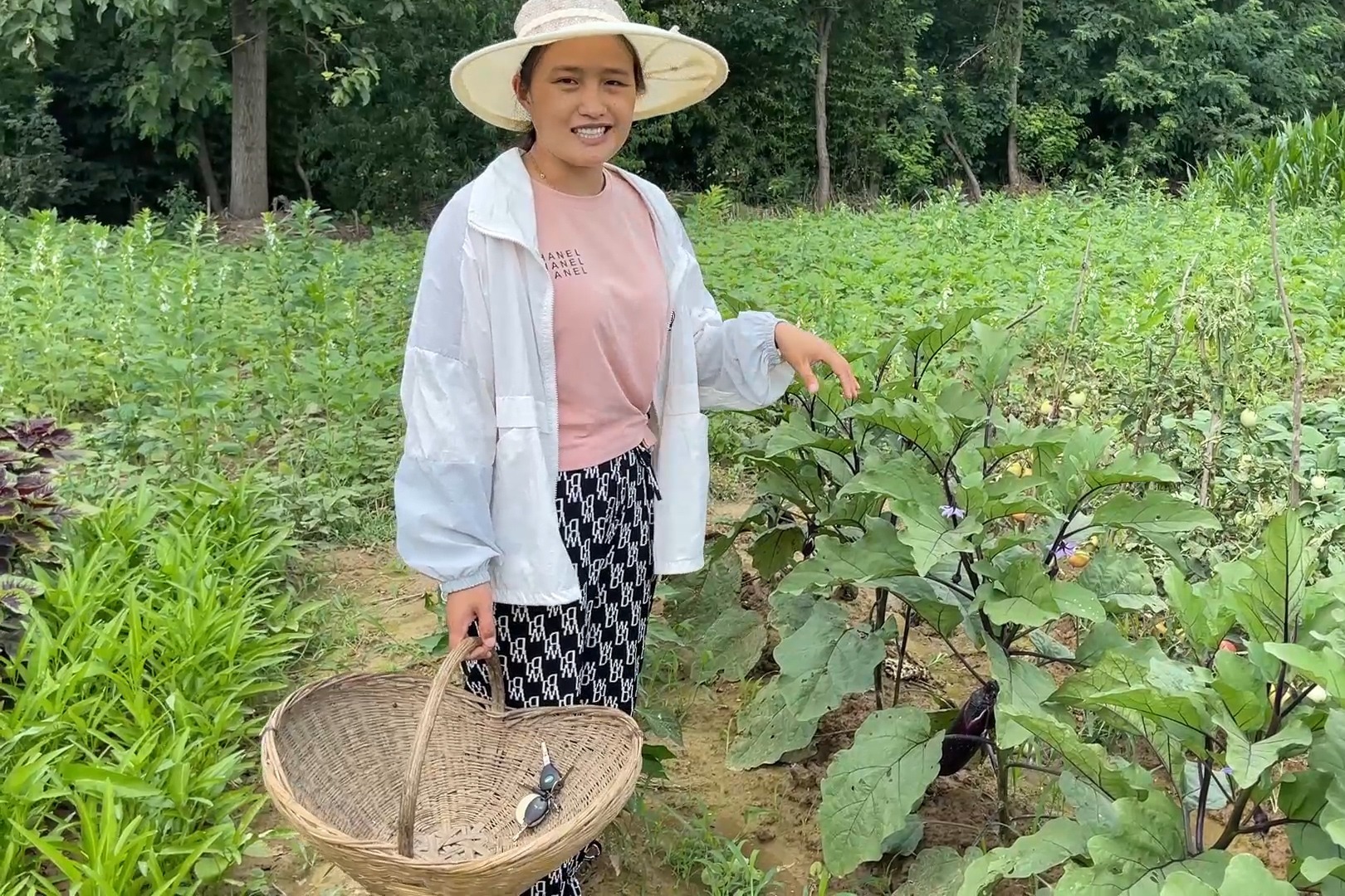 菜园茄子长势真喜人，媳妇摘点回家做菜吃，这肉末茄子可真下饭