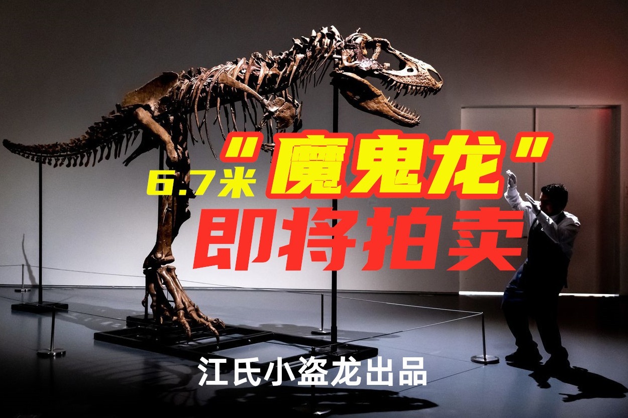苏富比将拍卖6.7米“魔鬼龙”化石！_凤凰网