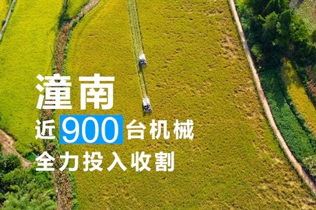 视频丨这些数字 看懂潼南水稻机收“加速度”