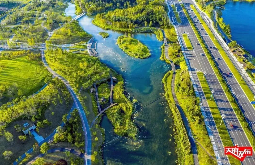 Batch Gold Cbd Cbg Gummies For Sleep Pain And Anxiety