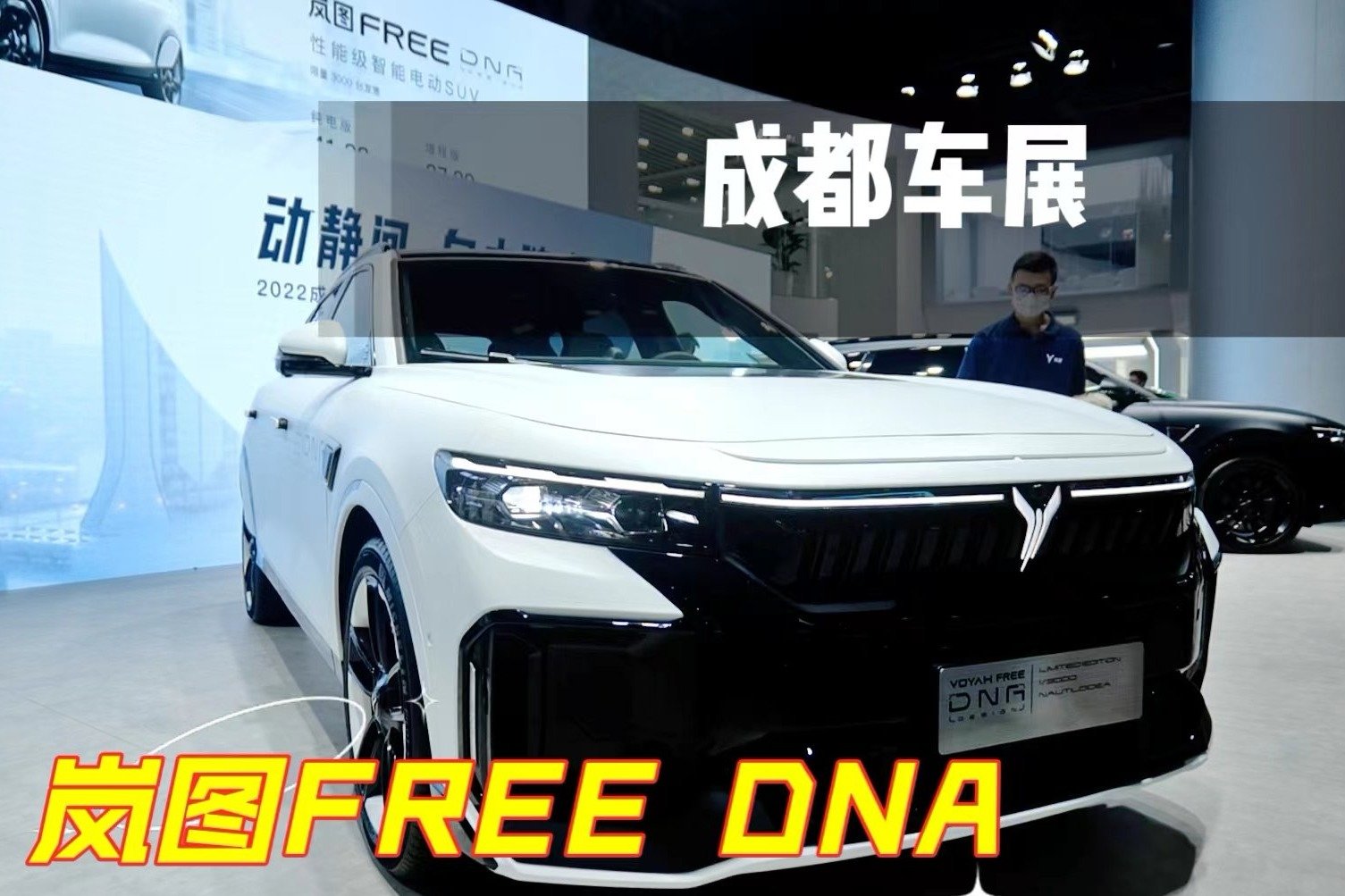 “个性化定制版”岚图FREE DNA正式上市