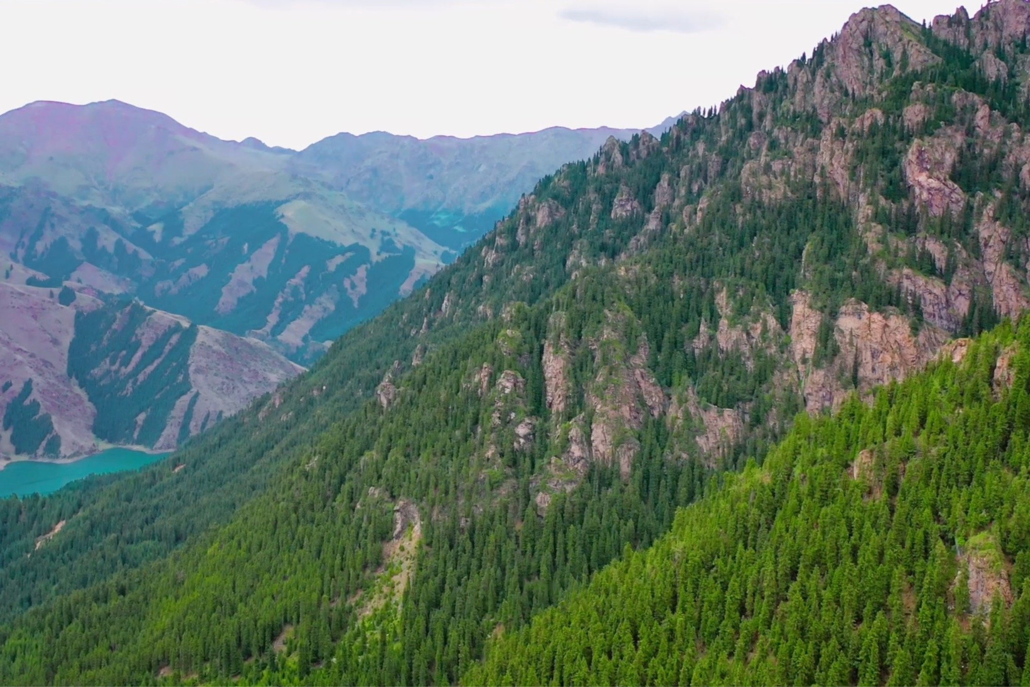 天山天池｜8月的马牙山，等你来一探究竟