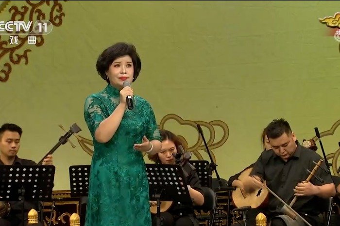 翟墨老师京剧打龙袍选段