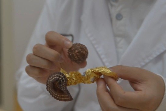 这份职业有点甜——巧克力品评员